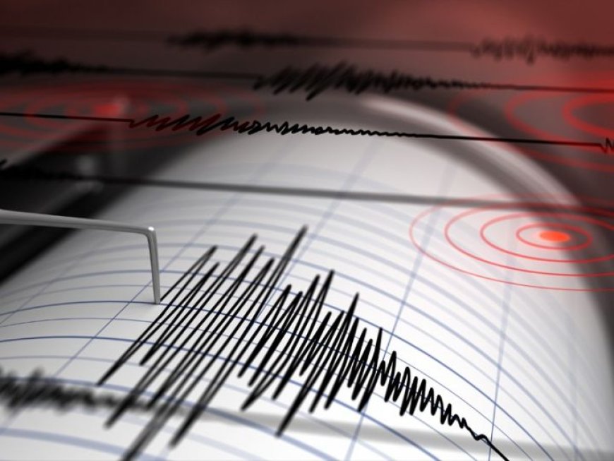 Gempa Magnitudo 7,1 Guncang Venezuela Berpotensi Tsunami