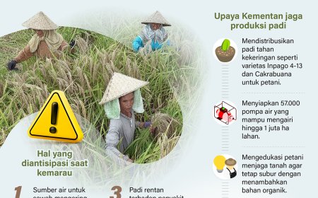 Menjaga Produksi Padi di Puncak Kemarau