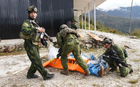 Koops Habema Kejar Kelompok Separatis Penembak Pilot  AS di Papua