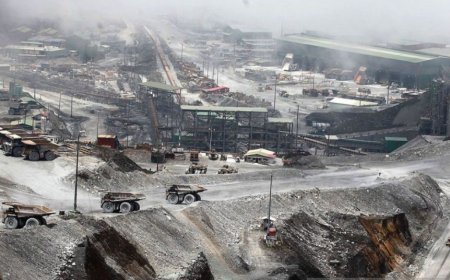 Freeport Proyeksi Kontribusi ke Negara Tembus Rp120 Triliun Per Tahun