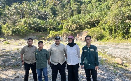 Dinas ESDM Sulteng Sanksi 41 Perusahaan Tambang, Ini Daftarnya
