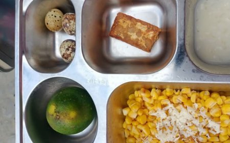 Jasuke, Menu MBG dari SPPG Boya Diprotes Warganet
