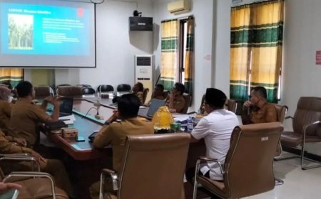 Buol Terapkan Gerakan Penghijauan Kota Berbasis Hortikultura, Setiap OPD Wajib Punya Satu Taman