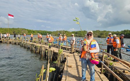Hari Mangrove Sedunia, IMIP Dukung Penanaman 1 Juta Mangrove di 37 Provinsi   