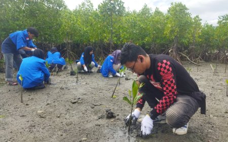 Honda Sulteng Peduli: Gelar Aksi Tanam Mangrove dan Bersihkan Pesisir Pantai