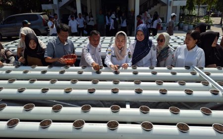 Lukman: Hidroganik Sangat Cocok Diterapkan Di Wilayah Perkotaan