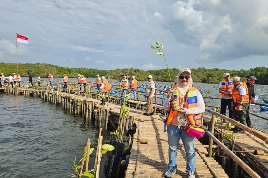 Hari Mangrove Sedunia, IMIP Dukung Penanaman 1 Juta Mangrove di 37 Provinsi   