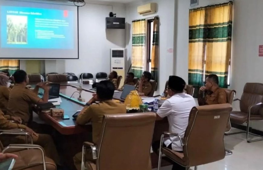 Buol Terapkan Gerakan Penghijauan Kota Berbasis Hortikultura, Setiap OPD Wajib Punya Satu Taman