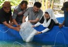 Optimistis Budidaya Ikan dengan Bioflok Gerakkan Ekonomi Masyarakat