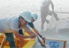 Poso Energy Lakukan Restocking Ikan Sidat di Danau Poso