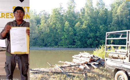 Warga Malino Adukan Penebangan Pohon Mangrove Untuk Bisnis