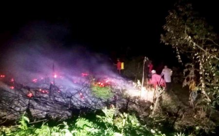 Karhutla Meluas, Puluhan Pohon Durian Warga Taripa Terbakar