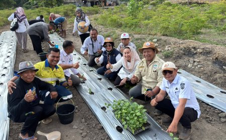 Wawali Memulai Penanaman 2.000 Bibit Cabe di Poboya