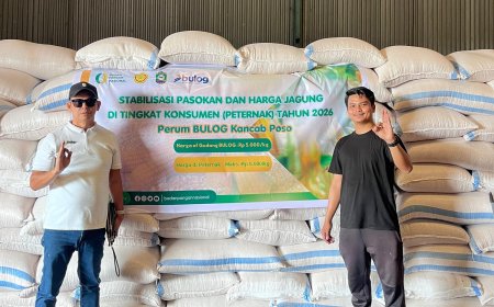 BULOG Poso Salurkan SPHP Jagung untuk Dukung Peternak