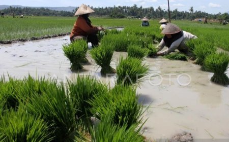 Kaum Tani Yang Merdeka