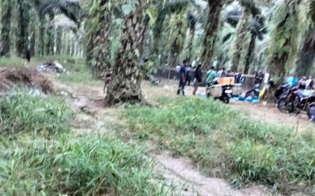 Polisi Enggan Sergap Judi Sabung Ayam di Wayura, Ada Apa?