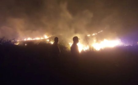 Dalam Sepekan Karhutla di Sulteng Hanguskan 79 Hektare, Touna Terbanyak