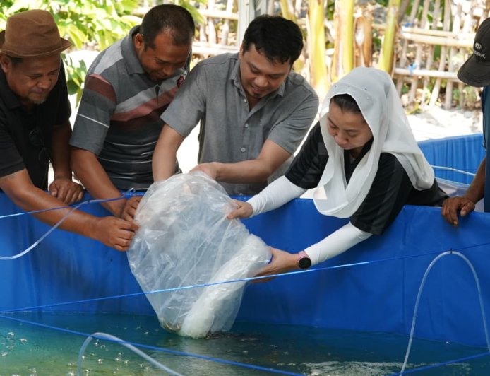 Optimistis Budidaya Ikan dengan Bioflok Gerakkan Ekonomi Masyarakat