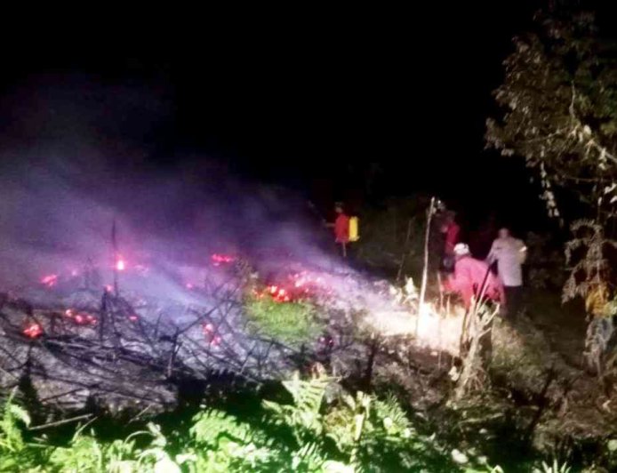 Karhutla Meluas, Puluhan Pohon Durian Warga Taripa Terbakar
