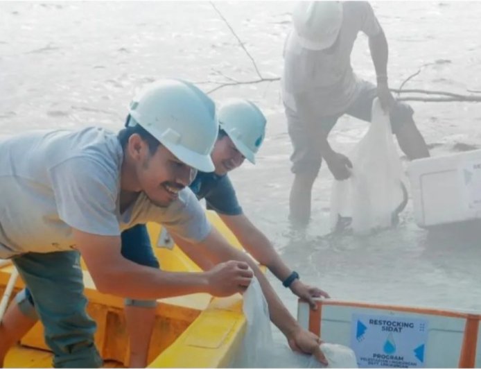 Poso Energy Lakukan Restocking Ikan Sidat di Danau Poso