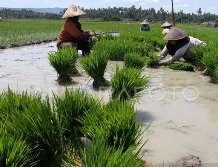 Kaum Tani Yang Merdeka