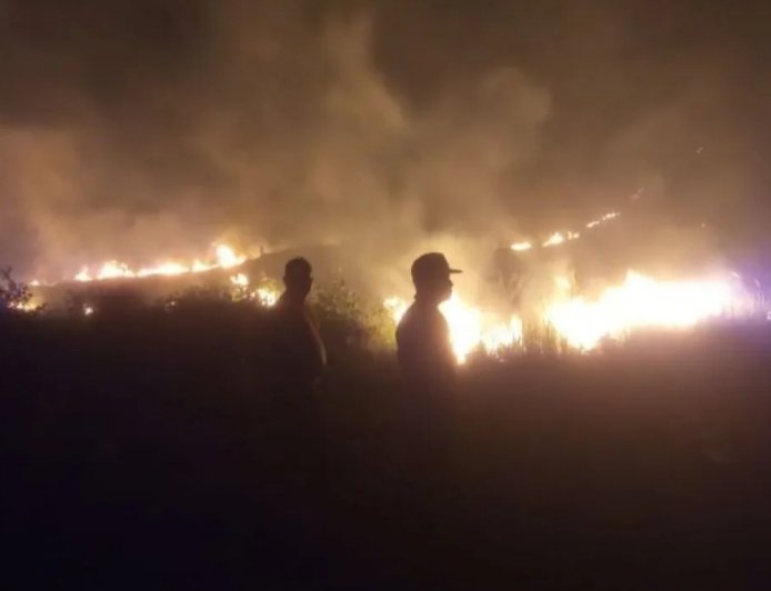 Dalam Sepekan Karhutla di Sulteng Hanguskan 79 Hektare, Touna Terbanyak