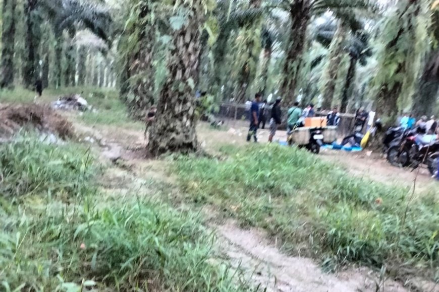 Polisi Enggan Sergap Judi Sabung Ayam di Wayura, Ada Apa?