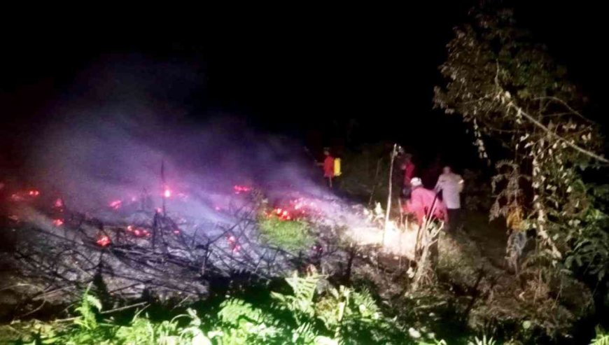 Karhutla Meluas, Puluhan Pohon Durian Warga Taripa Terbakar