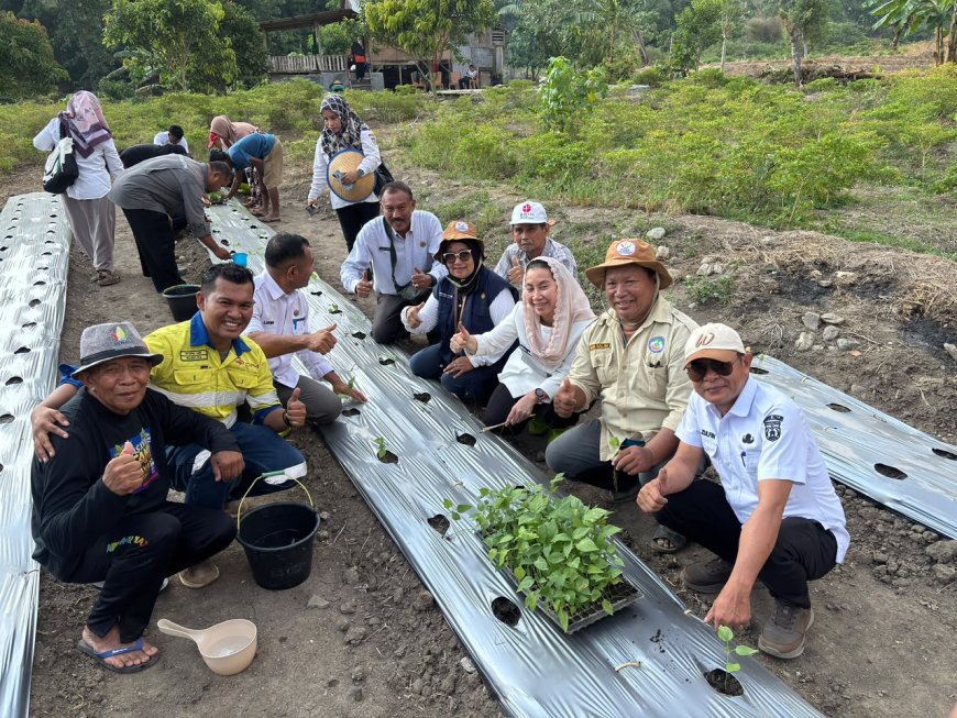 Wawali Memulai Penanaman 2.000 Bibit Cabe di Poboya