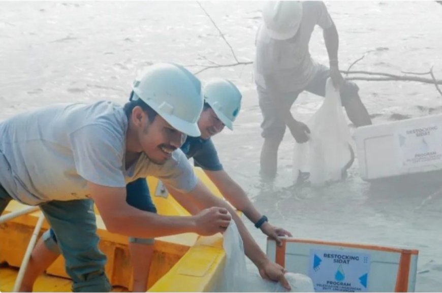 Poso Energy Lakukan Restocking Ikan Sidat di Danau Poso