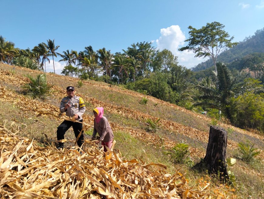 Polsek Ulubongka Dukung Ketahanan Pangan