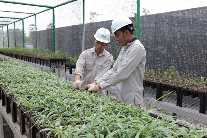 Bank Benih Nursery Mandiri IMIP Menjaga Keanekaragaman Hayati Lokal