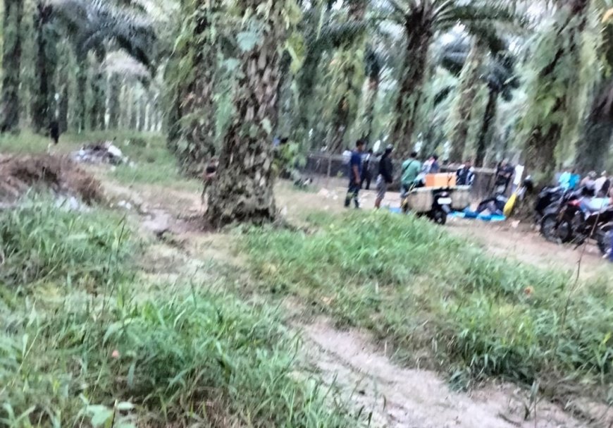 Polisi Enggan Sergap Judi Sabung Ayam di Wayura, Ada Apa?