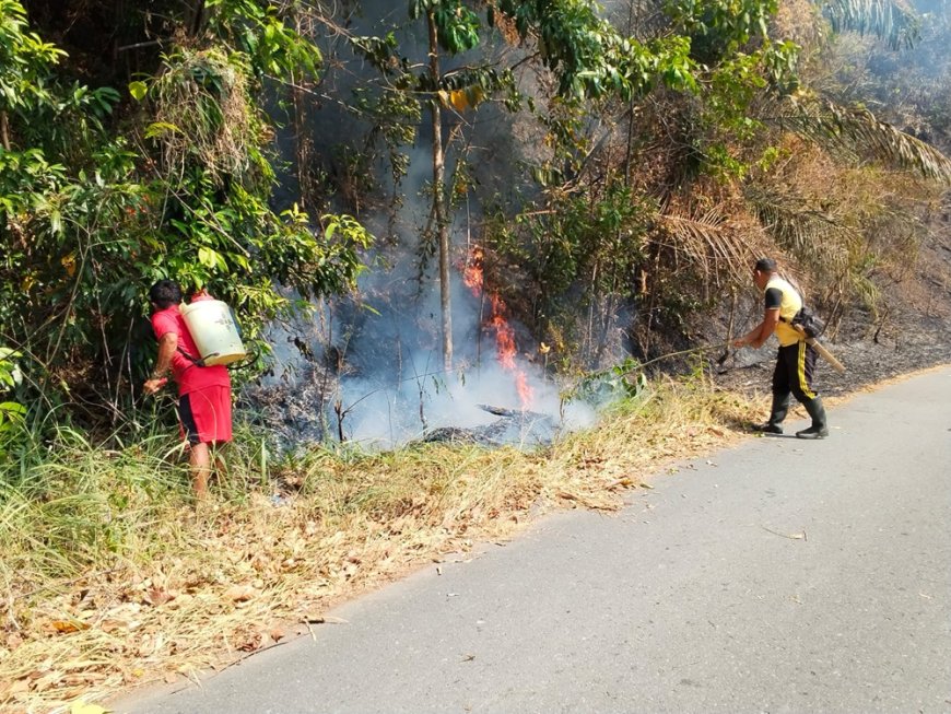 Kebakaran Hutan di Desa Tangkura, Polisi Gerak Cepat Atasi Situasi