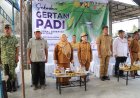 Penerapan Pertanian Modern Langkah Penting Tingkatkan Produktivitas