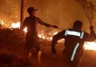 Kebakaran Hanguskan 8 Hektare Lahan, Api Hanya 50 Meter dari Rumah Warga