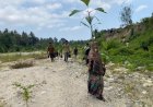 Tanam 100 Aren dan 250 Mangrove, Warga Tanalanto Perkuat Mitigasi