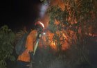 BPBD Poso Laporkan 427 Hektare Lahan Terdampak Karhutla