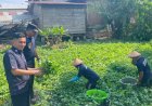 Rutan Poso Panen Kangkung untuk Masyarakat