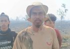 Nestapa Petani Poso: Ratusan Pohon Durian Hangus, Berharap Bantuan Bibit dan Akses Jalan