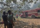 Karhutlah Kembali Terjadi di Gunung Tinjoli