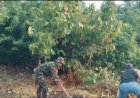 Babinsa Kalora Bersama Warga Gotong Royong Bersihkan Saluran Air
