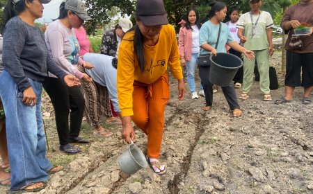 Warga Tolai Perkuat Adaptasi di Tengah Iklim yang Makin Sulit Diprediksi
