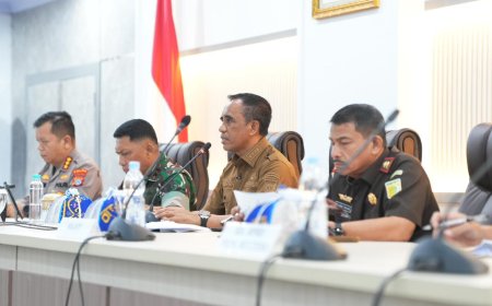 Sulteng Siaga Darurat Karhutla, Delapan Kabupaten dan Kota Mulai Terdampak