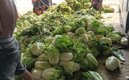 Kisah Haji Dulla Memetik Rupiah dari Isi Perut Pekerja IMIP: Modal Nekat 1,5 Bulan, dari Pikap Kecil ke Truk