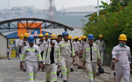 IMIP Serap 98.266 Tenaga Kerja, Angka Pengangguran di Morowali Merosot Tajam
