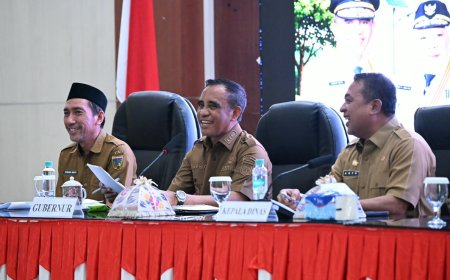 Kementerian ESDM dan PLN Bangun Jaringan Listrik di 113 Titik di Sulteng