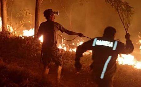 Kebakaran Hanguskan 8 Hektare Lahan, Api Hanya 50 Meter dari Rumah Warga