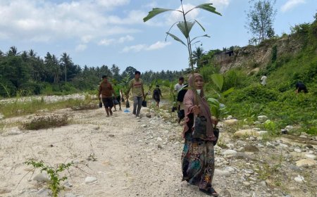 Tanam 100 Aren dan 250 Mangrove, Warga Tanalanto Perkuat Mitigasi