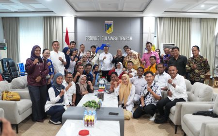 Gubernur Dukung Perjuangan Nakes PPPK Jadi Pegawai Penuh